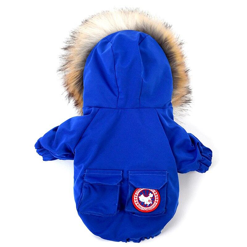 Back view of blue dog winter coat with fur-lined hood and pocket