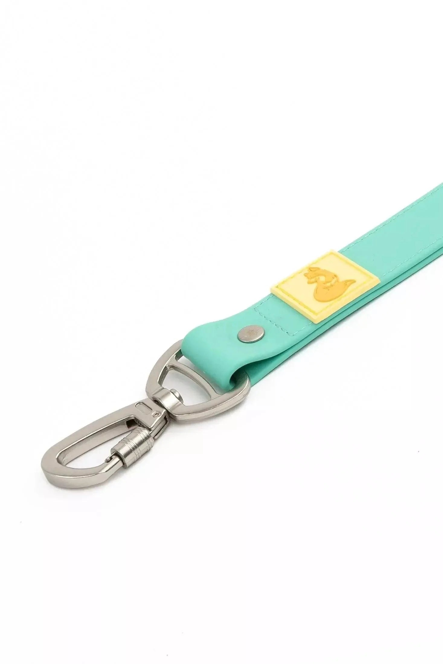 Island Vibes waterproof turquoise dog leash with durable metal clip
